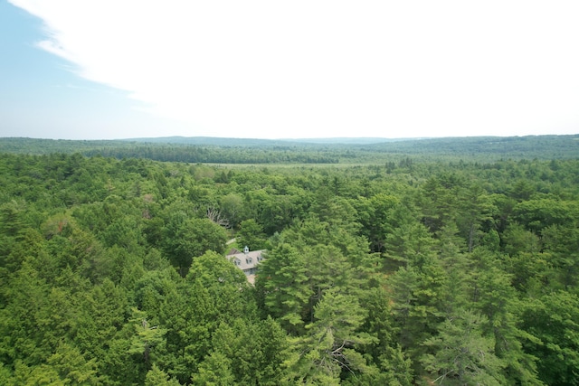 542 Hanson Rd, China, ME 04358 - photo 64