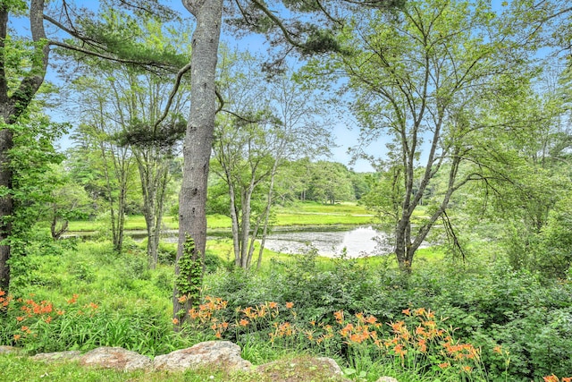 218 Sam Day Hill Rd, Phippsburg, ME 04562 - photo 15