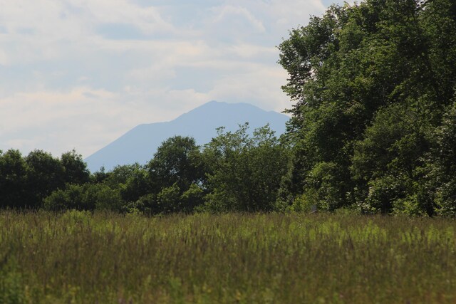 178 Siberia Rd, Stacyville, ME 04777 - photo 44