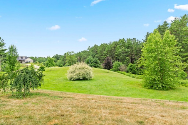 2 Victoria Dr, Gray, ME 04039 - photo 11