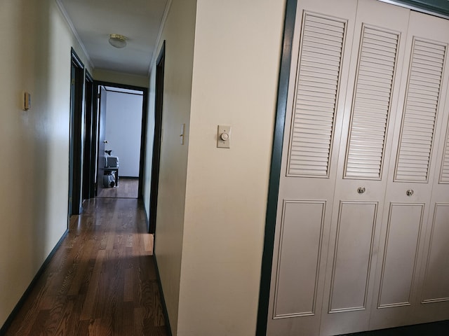 381 Birch St, Bangor, ME 04401 - hallway with dark wood finished floors and ornamental molding