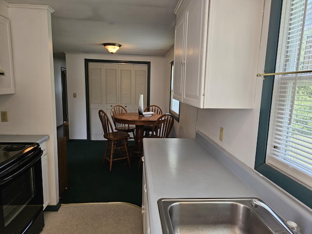 381 Birch St, Bangor, ME 04401 - photo 3