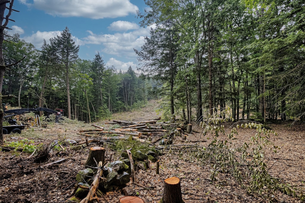 LOT2 N Rd, Bridgton, ME 04009 - photo 4