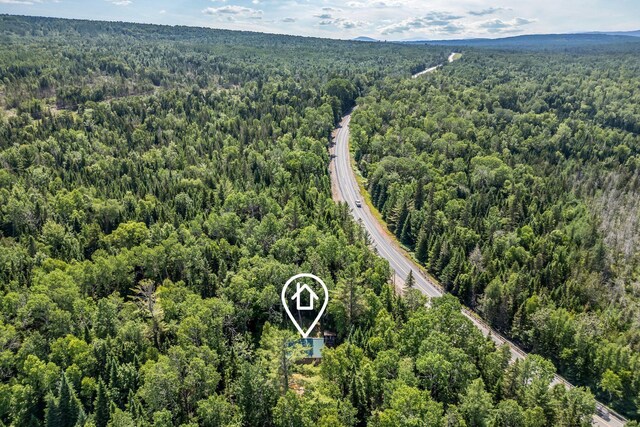 5 Pine Ln, Dallas Plt, ME 04970 - photo 41