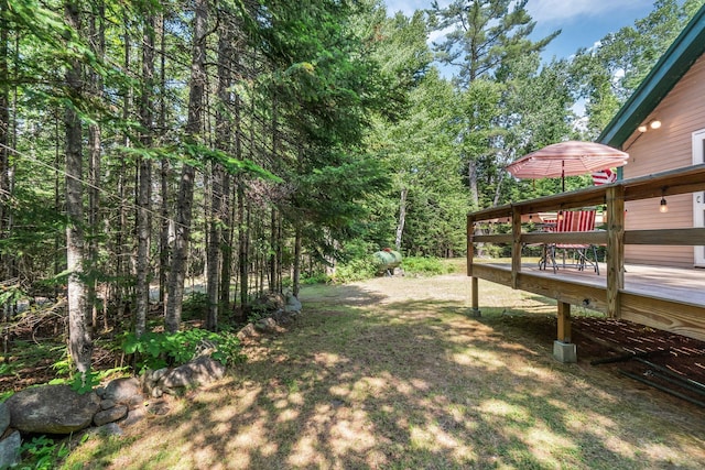 5 Pine Ln, Dallas Plt, ME 04970 - photo 29