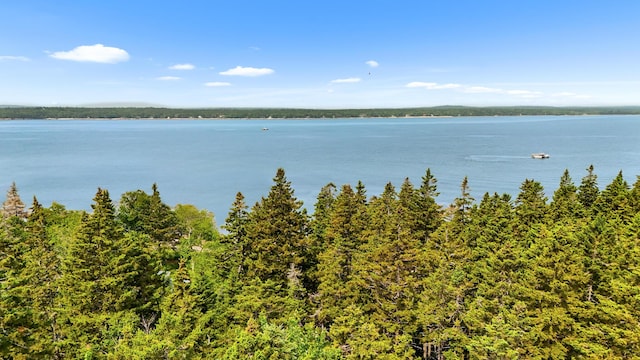 14A Wilderness Shores Rd S, Steuben, ME 04680