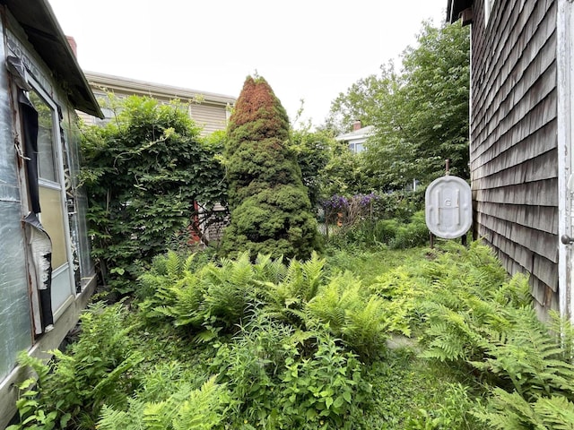 30 Dow St, Portland, ME 04102 - view of yard
