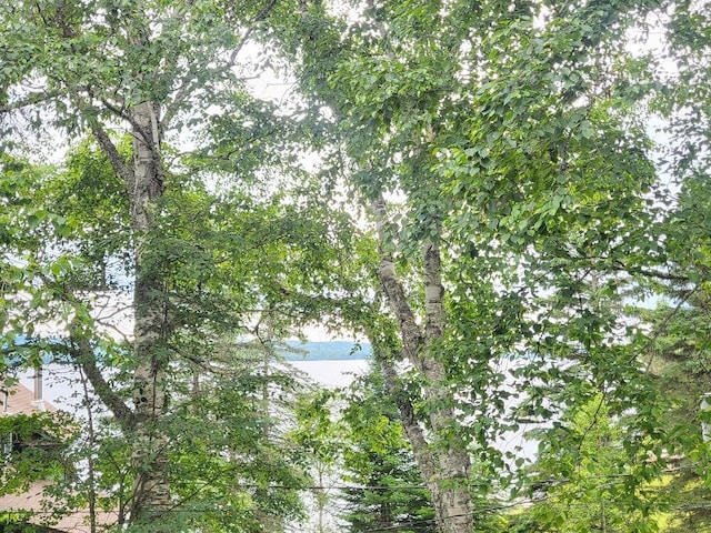 110 Lakeside Lodges Rd, Rangeley, ME 04970 - photo 67