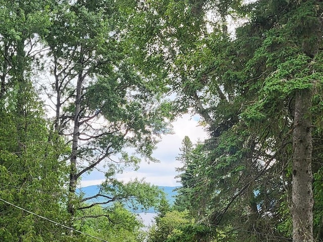 110 Lakeside Lodges Rd, Rangeley, ME 04970 - photo 69