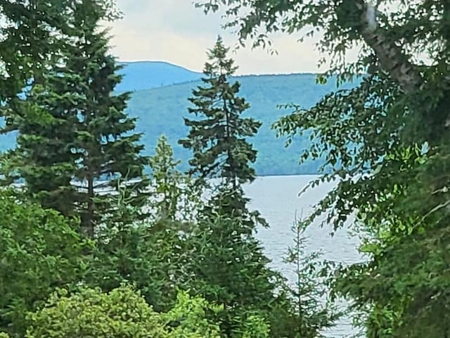 110 Lakeside Lodges Rd, Rangeley, ME 04970 - photo 64