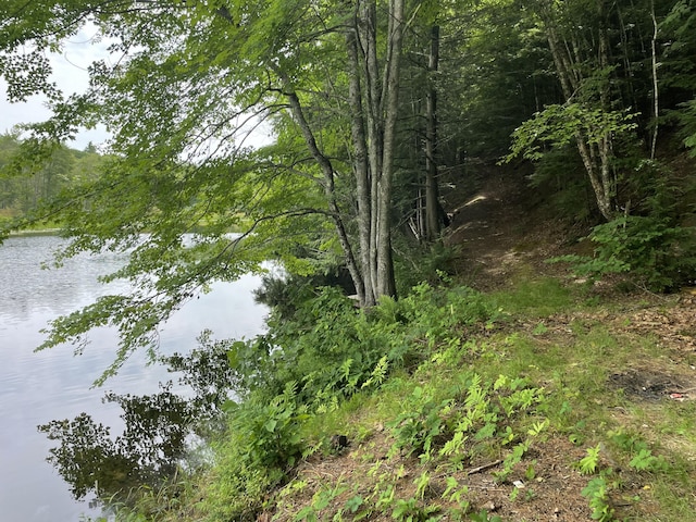 0 Hartland Ave, Pittsfield, ME 04967 - photo 3