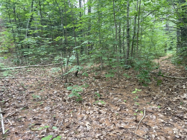 0 Hartland Ave, Pittsfield, ME 04967 - photo 5