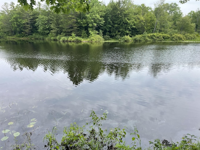 0 Hartland Ave, Pittsfield, ME 04967 - photo 1