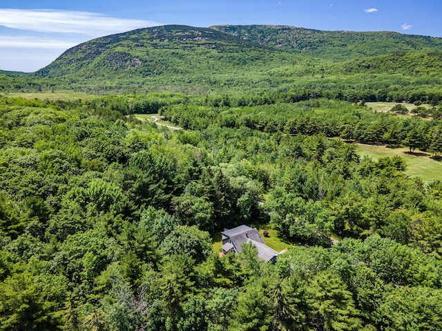 148 Great Meadow Dr, Bar Harbor, ME 04609 - photo 30