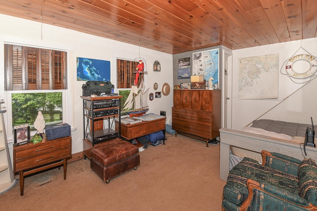 7 Hams Hill Dr, Casco, ME 04015 - photo 22