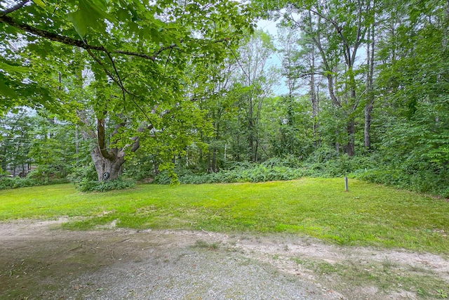 7 Hams Hill Dr, Casco, ME 04015 - photo 84
