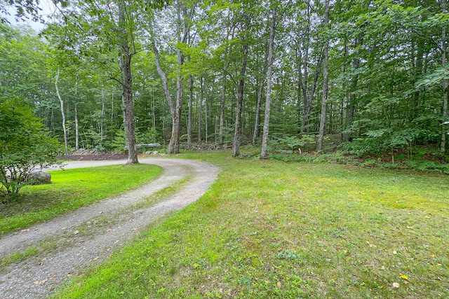 7 Hams Hill Dr, Casco, ME 04015 - photo 85
