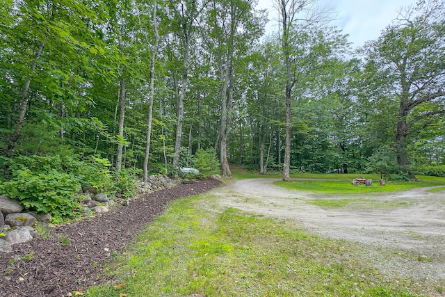 7 Hams Hill Dr, Casco, ME 04015 - photo 87