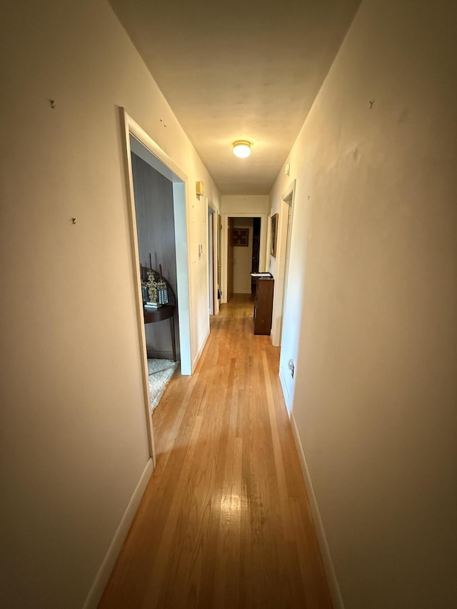 29 Birchwood Blvd, Brewer, ME 04412 - hallway with light wood-style flooring and baseboards