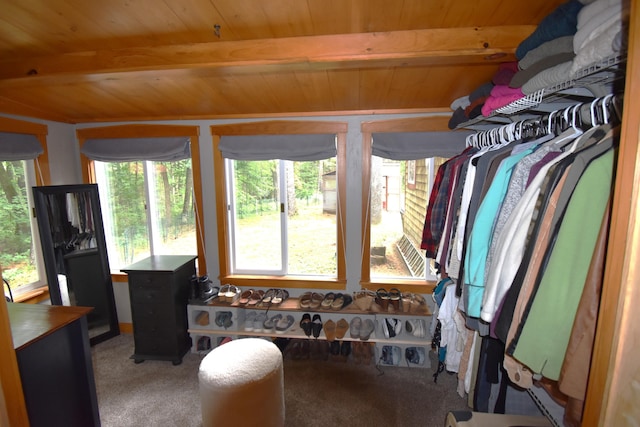 108 Maple Rd, Atkinson, ME 04426 - spacious closet with carpet