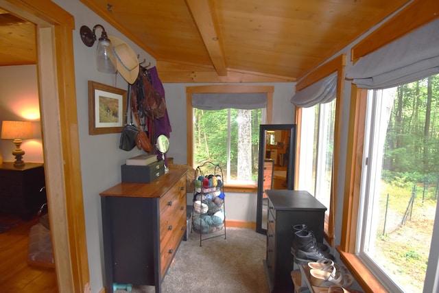 108 Maple Rd, Atkinson, ME 04426 - sunroom featuring a wood stove