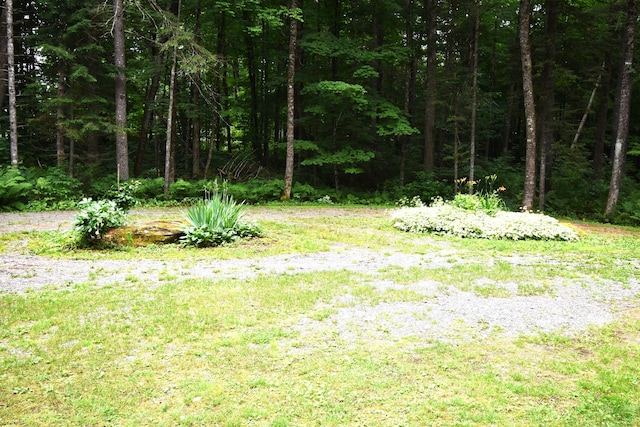 108 Maple Rd, Atkinson, ME 04426 - view of yard featuring a forest view