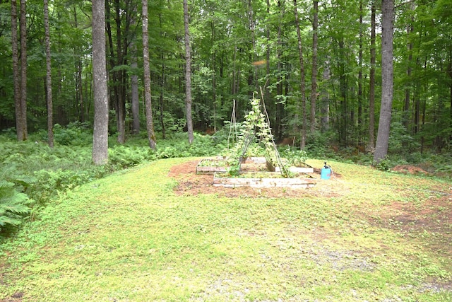 108 Maple Rd, Atkinson, ME 04426 - view of yard with a wooded view