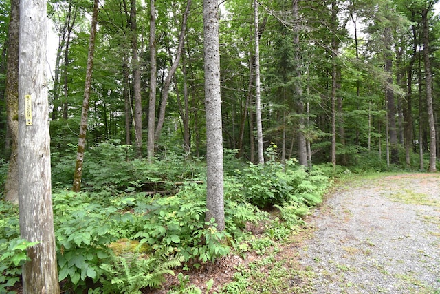 108 Maple Rd, Atkinson, ME 04426 - view of woods