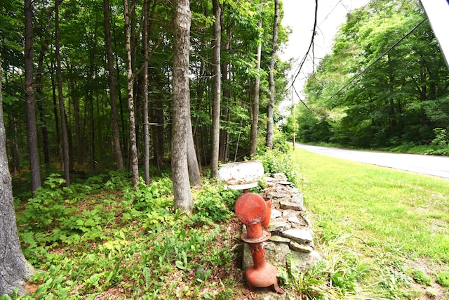 108 Maple Rd, Atkinson, ME 04426 - view of yard