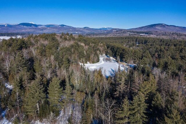 LOT4 Middlegate Ln, New Portland, ME 04961 - photo 3