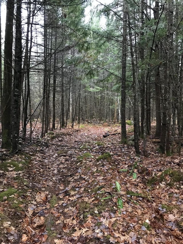49-51 Pleasant St, Norway, ME 04268 - photo 1