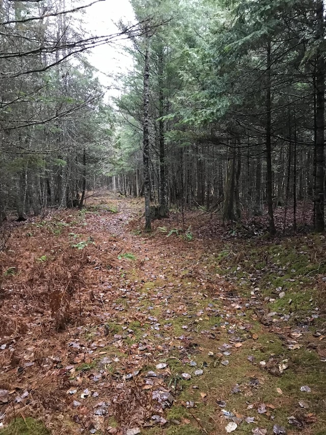 49-51 Pleasant St, Norway, ME 04268 - photo 2