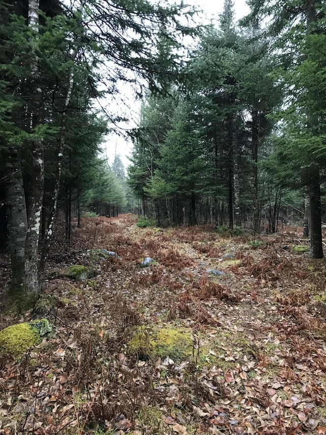 49-51 Pleasant St, Norway, ME 04268 - photo 3
