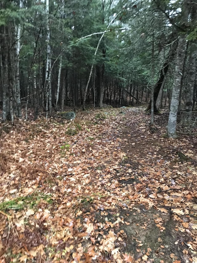49-51 Pleasant St, Norway, ME 04268 - photo 4