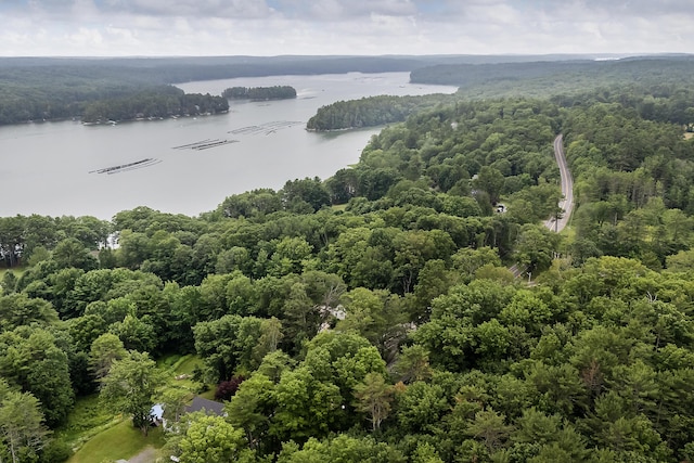 131 River Rd, Newcastle, ME 04553 - bird's eye view of a large body of water