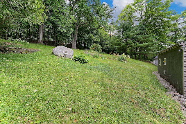 131 River Rd, Newcastle, ME 04553 - view of green lawn