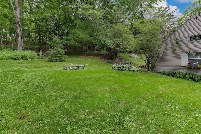 131 River Rd, Newcastle, ME 04553 - view of green lawn