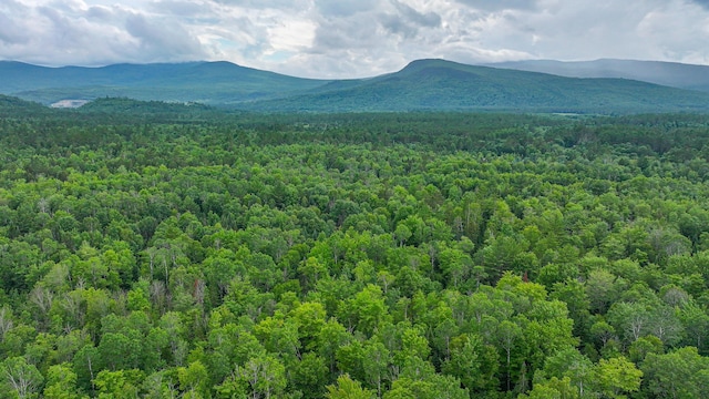 130 Farmers Hill Rd, Andover, ME 04216 - photo 2