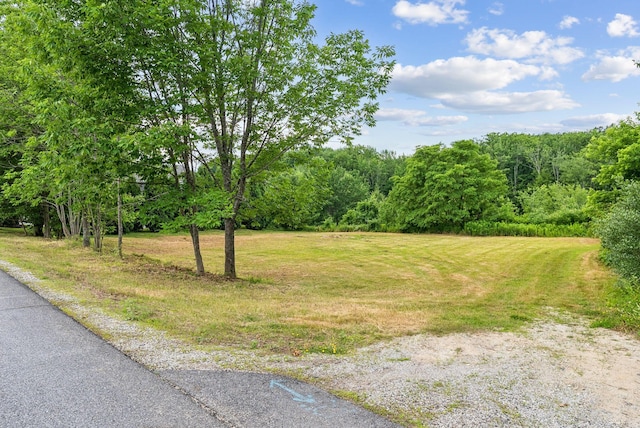 368 Beech Hill Rd, Auburn, ME 04210 - photo 9