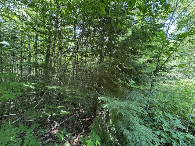 002-006 Hilltop Ln, Princeton, ME 04668 - photo 5