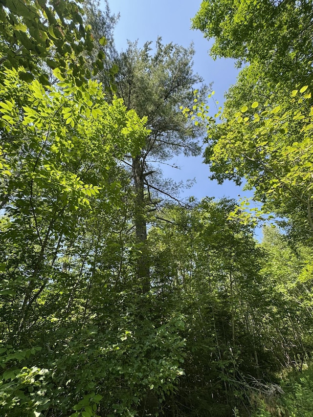 002-006 Hilltop Ln, Princeton, ME 04668 - photo 6