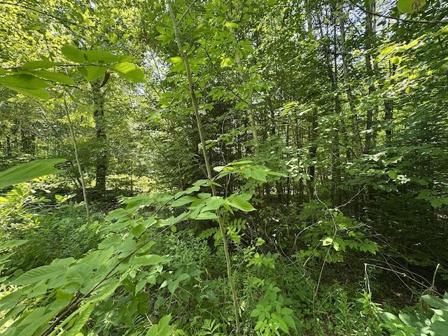 002-006 Hilltop Ln, Princeton, ME 04668 - photo 7