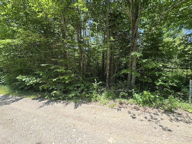 002-006 Hilltop Ln, Princeton, ME 04668 - photo 2