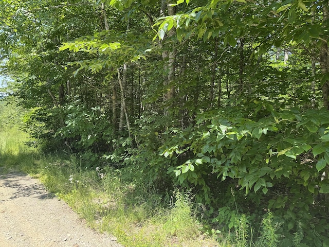 002-006 Hilltop Ln, Princeton, ME 04668 - photo 1