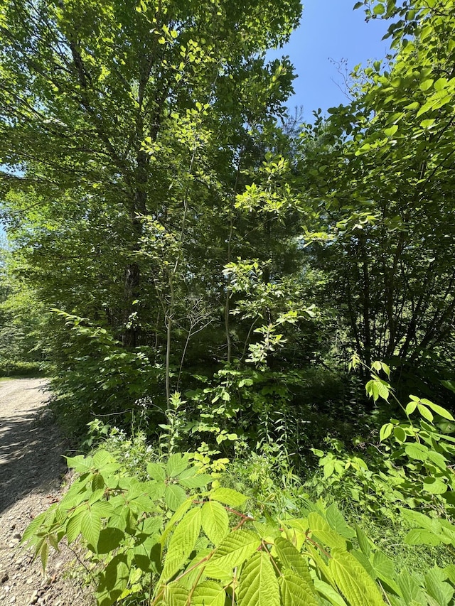 002-006 Hilltop Ln, Princeton, ME 04668 - photo 8