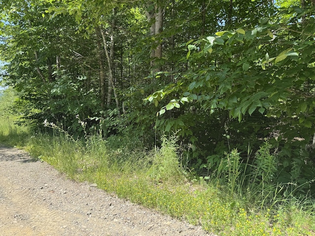 002-006 Hilltop Ln, Princeton, ME 04668 - photo 3