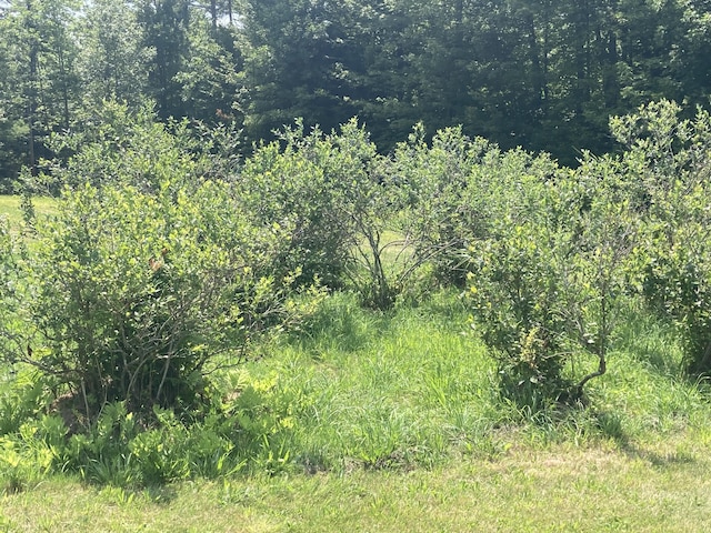 68 Whaleback Rd, Limington, ME 04049 - photo 10