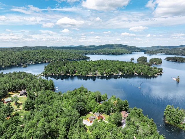 90 Mulberry Rd, Dedham, ME 04429 - photo 11