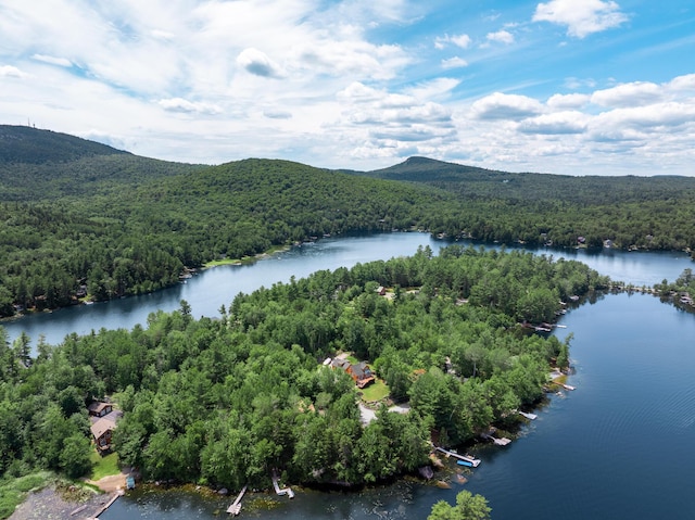 90 Mulberry Rd, Dedham, ME 04429 - photo 13