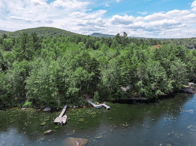 90 Mulberry Rd, Dedham, ME 04429 - photo 14